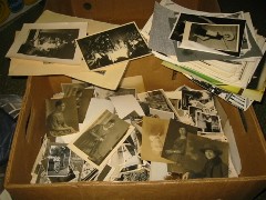 179-7904_IMG-x240