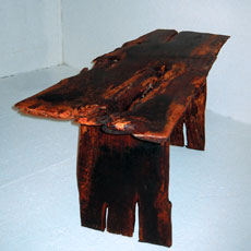 eiche_bruecke-000